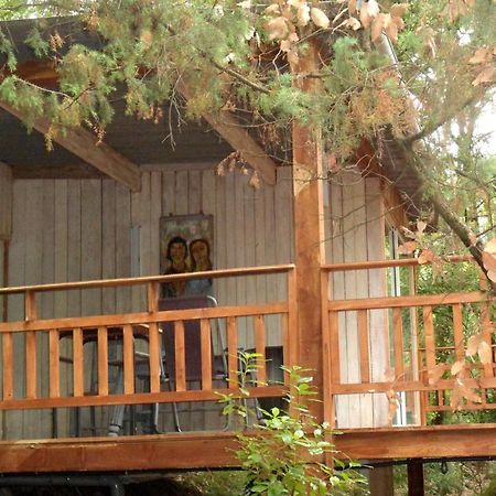 Chalet dans Résidence Privée La Gaude Extérieur photo